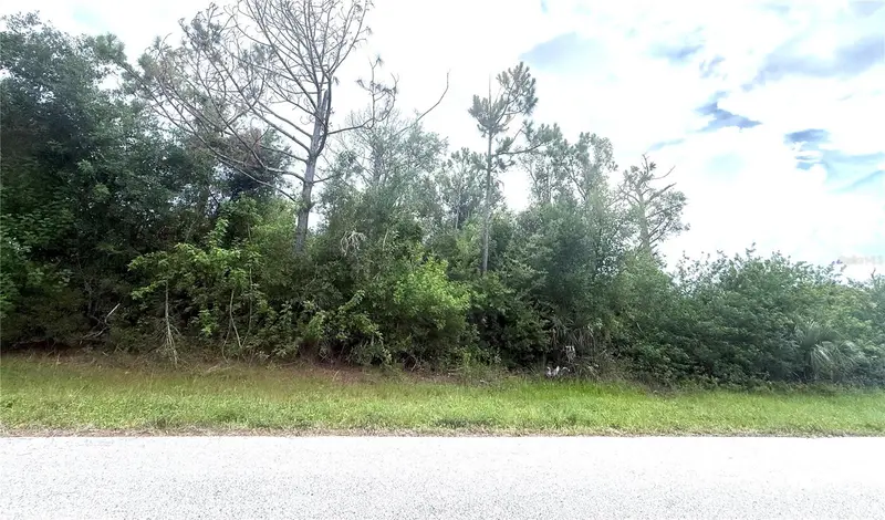 6165 & 6173 Blackberry St, FL
