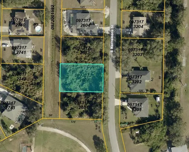 S Narramore St, FL