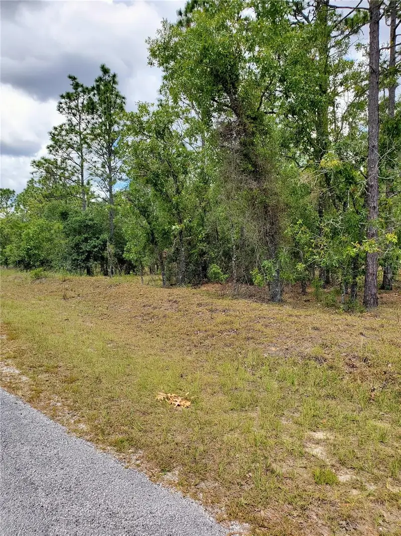 Pony Ridge Dr, FL