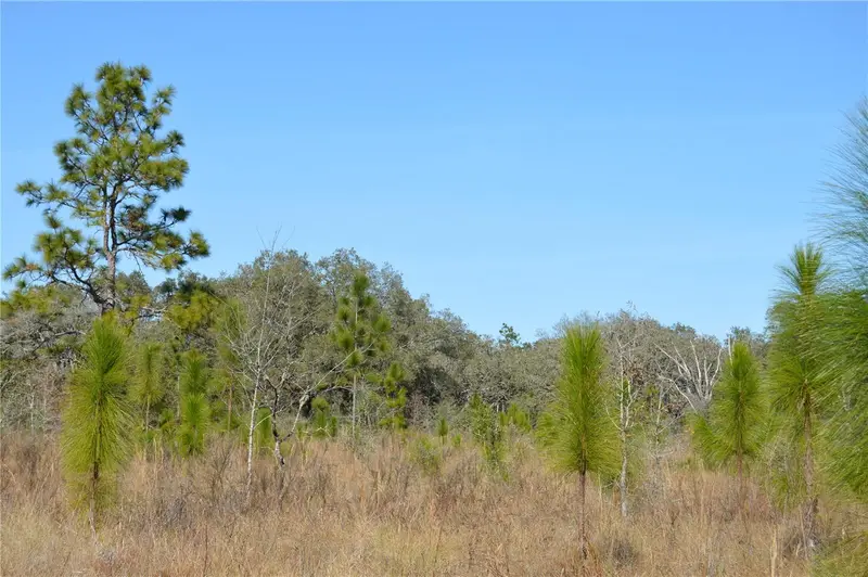 00 Unnamed, FL