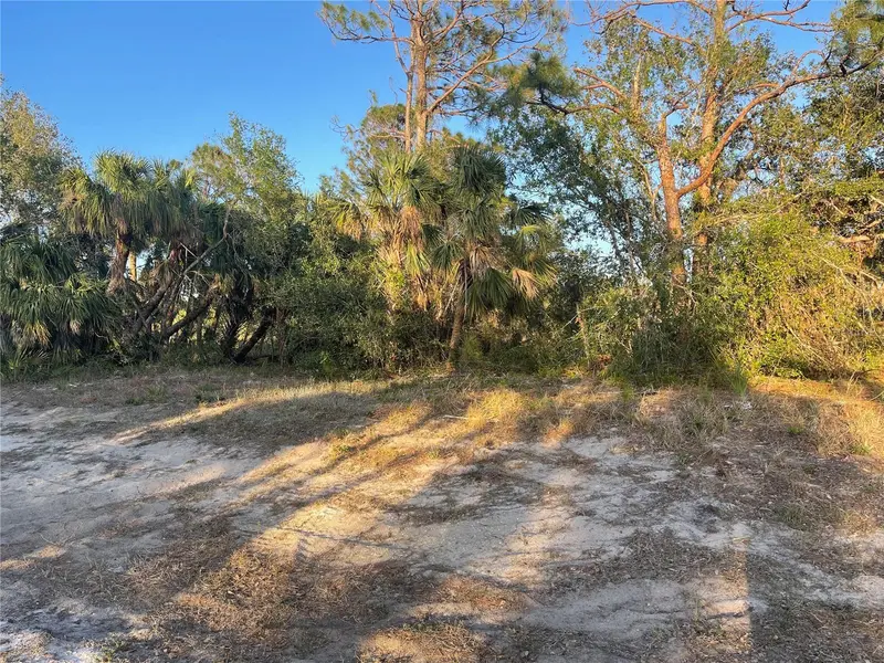 Baynes Rd, FL