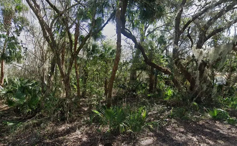 Nancy St, FL