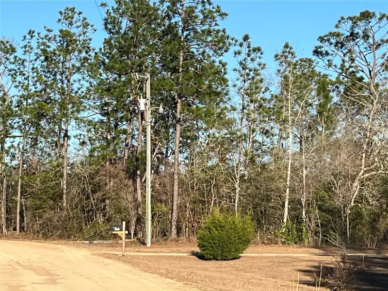 Goreville Ave, FL