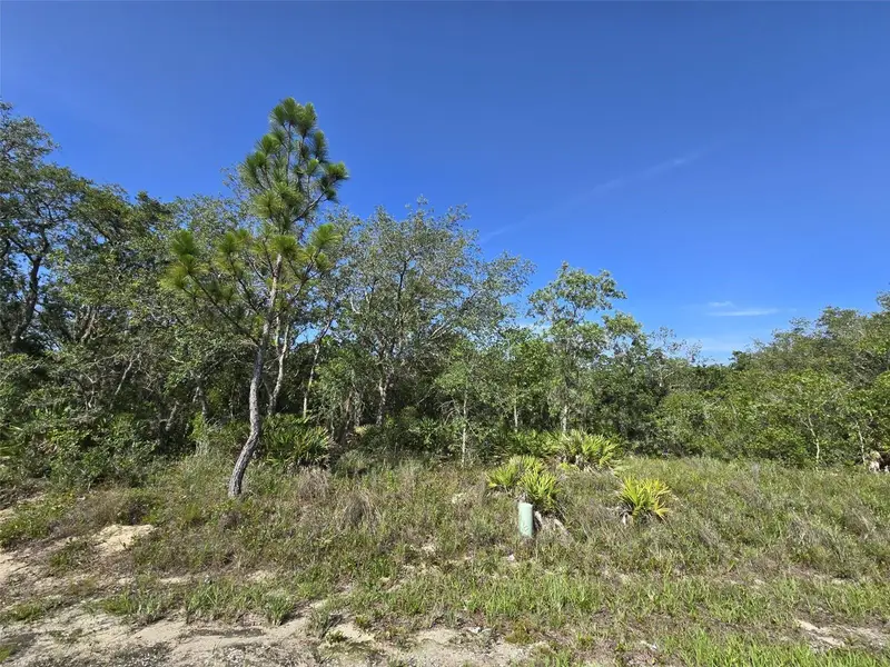 112 Tench Dr, FL
