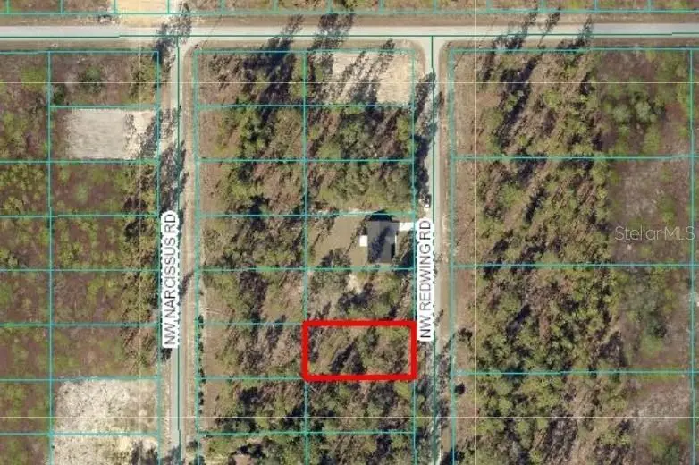 Tbd Nw Redwing Rd, FL