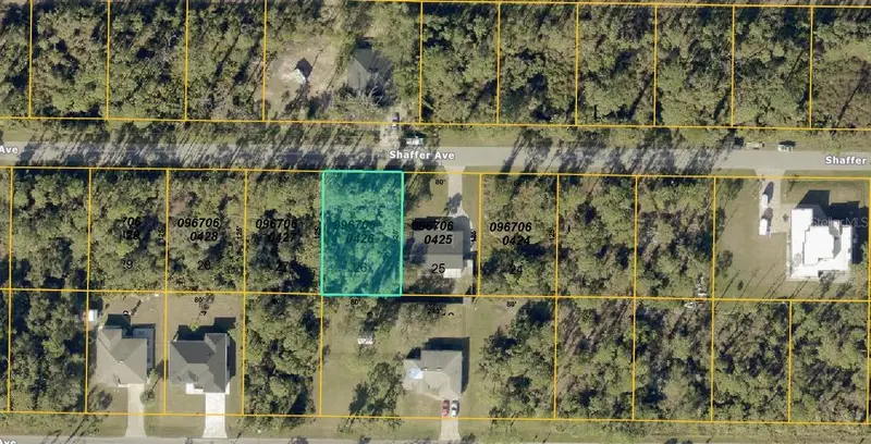 0967060426 Shaffer Ave, FL