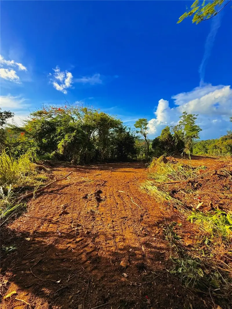 Bo. Cacao, PR