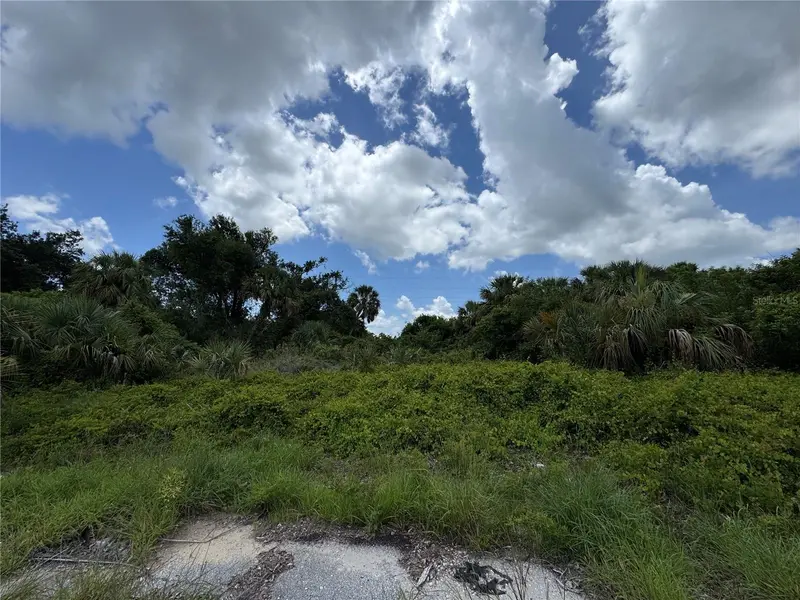 Nace Ct, FL