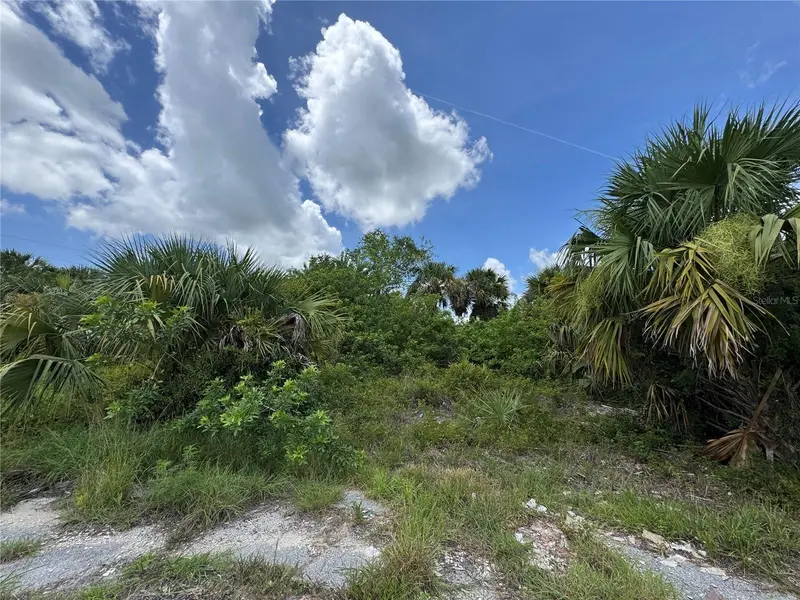 Nace Ct, FL