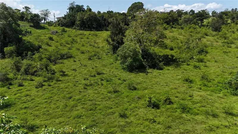 Carr. 445 Km. 3.4 Int. Barrio Saltos, PR
