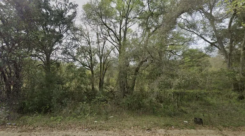 305 Milton Ave, FL