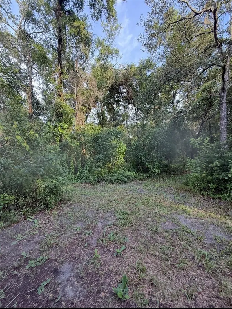 12300 Walter St, FL