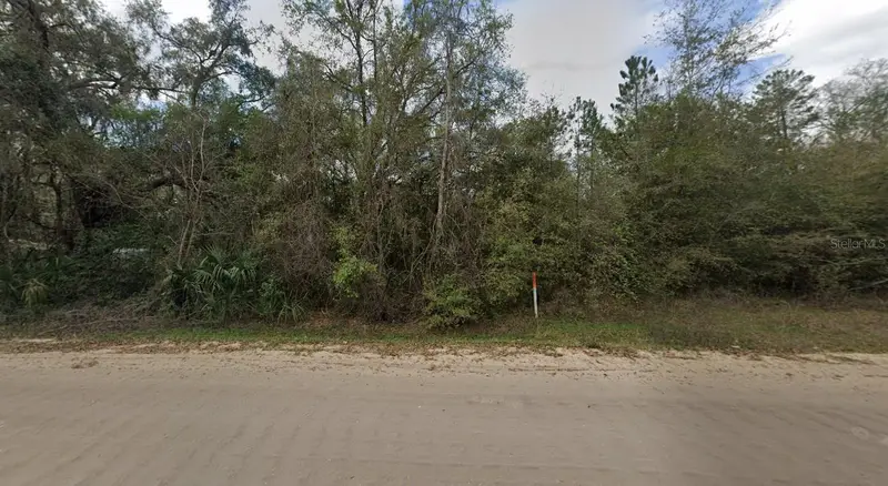 915 Annette Ave, FL