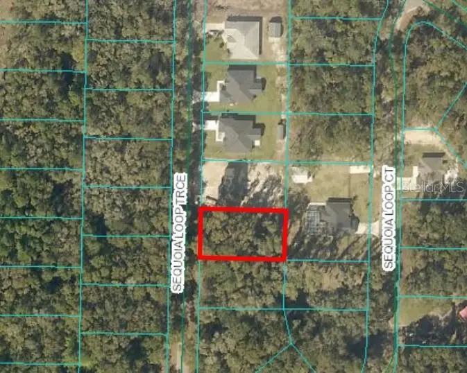 17 Sequoia Loop Trce, FL