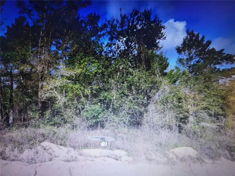 Grey, FL