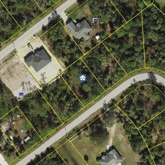 Roman Ave, FL