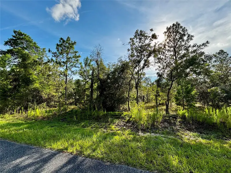 Lot 24 Se 136 Ter, FL