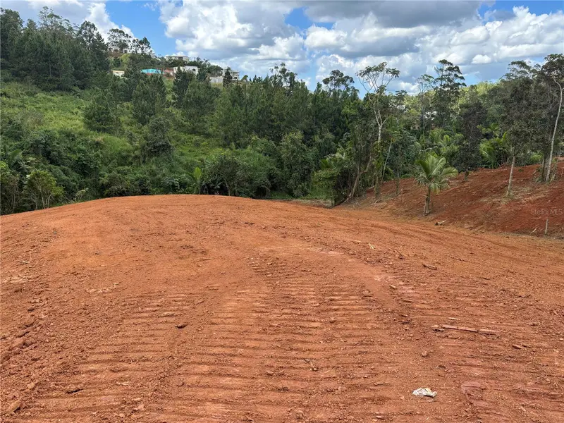 Carr 569 Km 2.7 Int Bo. Sabana, PR