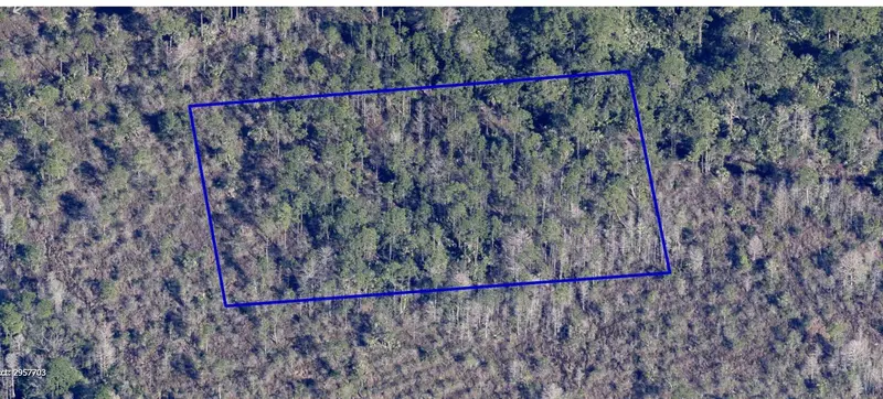 No Name, FL