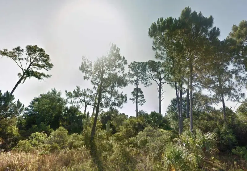 Dunmore St, FL