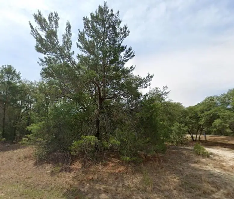 1426 W Delores Dr, FL