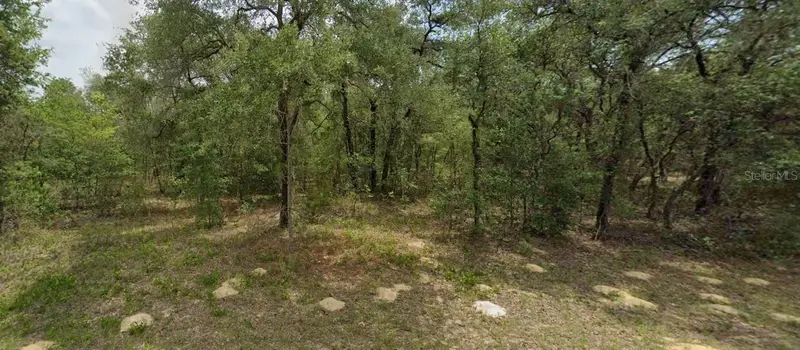 6455 N Whispering Dr, FL