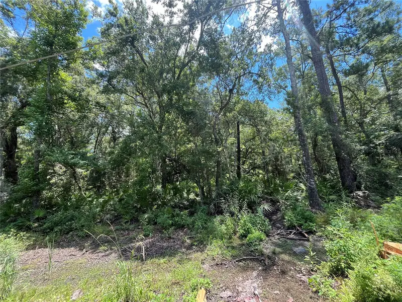 Franklin Dr, FL