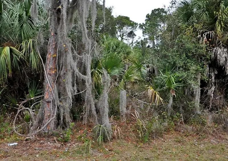 Shady Ave, FL