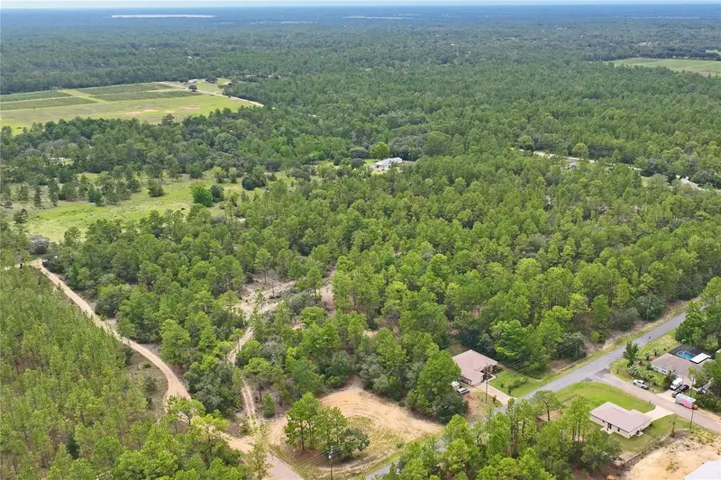 9423 N Tami Path, FL