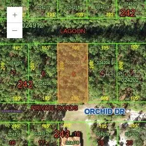 0 Orchid, FL
