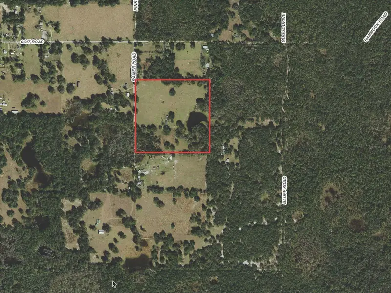 20716 Ramer Rd, FL