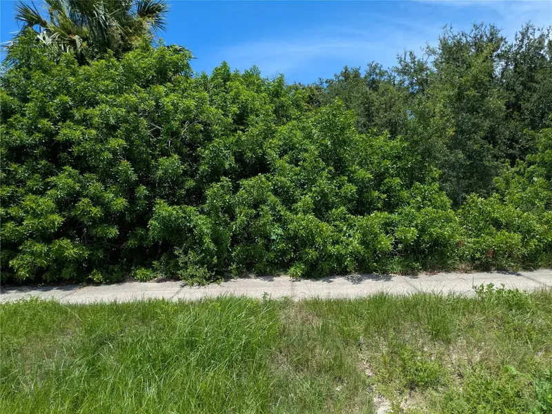 6041 County Line Rd, FL