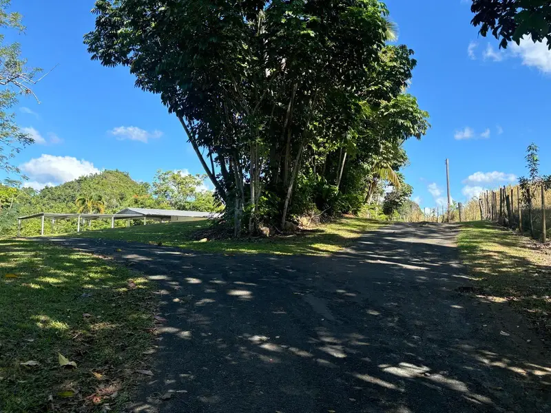 14 Pr-146 Fronton, PR