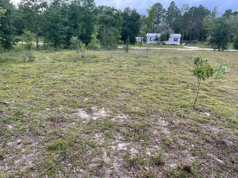 Ne 135th Ct, FL