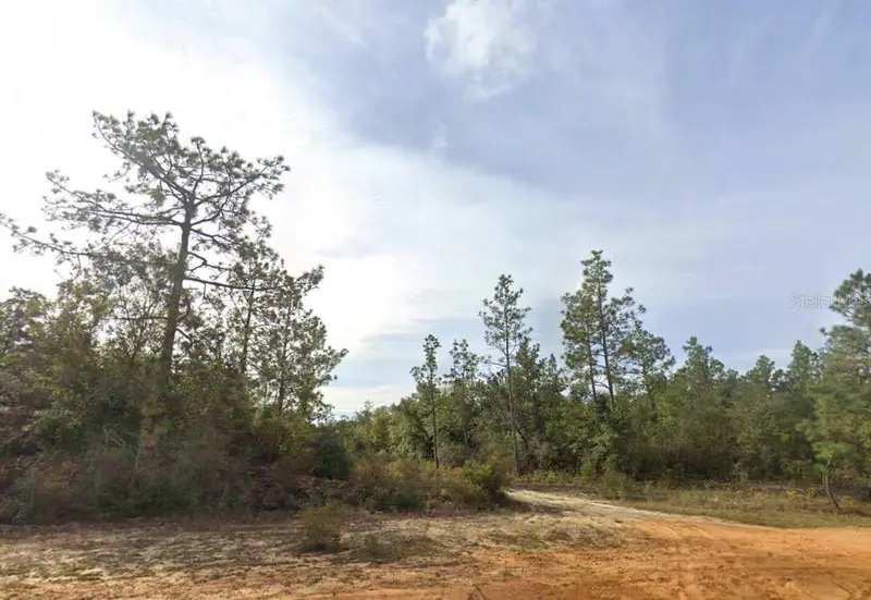 Kings Dr, FL