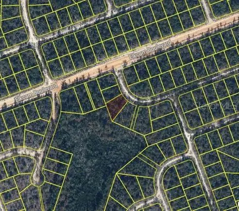 Kings Dr, FL