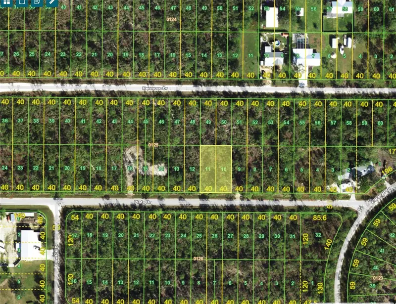 28364 Plato Dr, FL