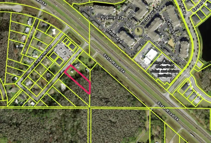 14969 Ogden Loop, FL
