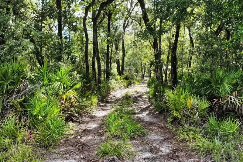 0000 Sw County Road 347, FL