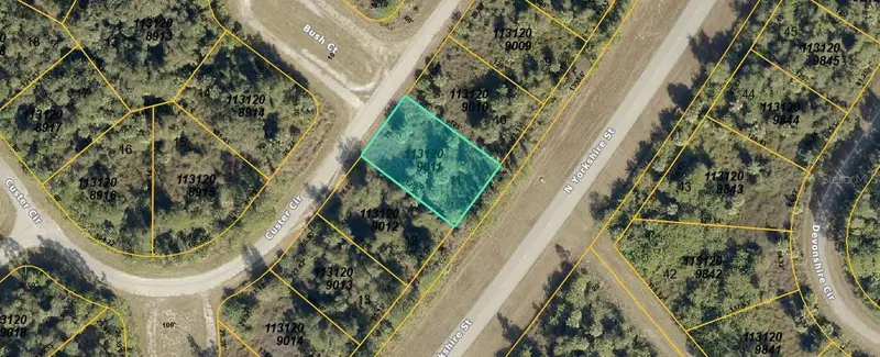Custer Cir, FL