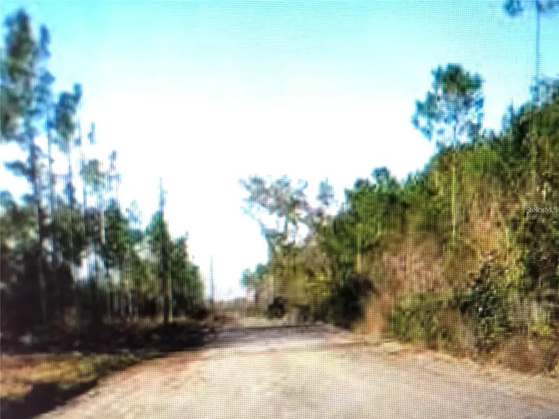 35 Acres Madison Main Line, FL