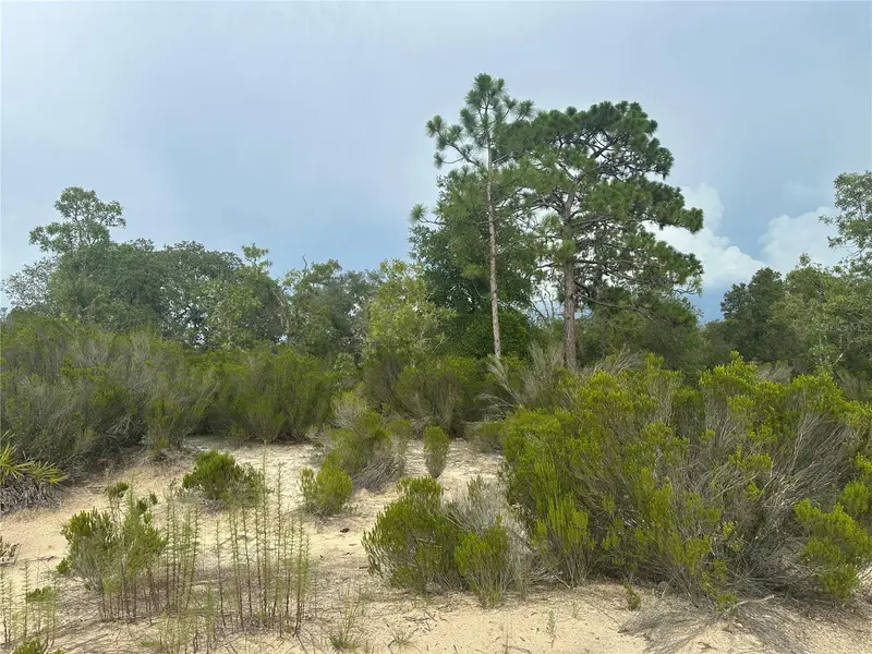Ne 85th St, FL