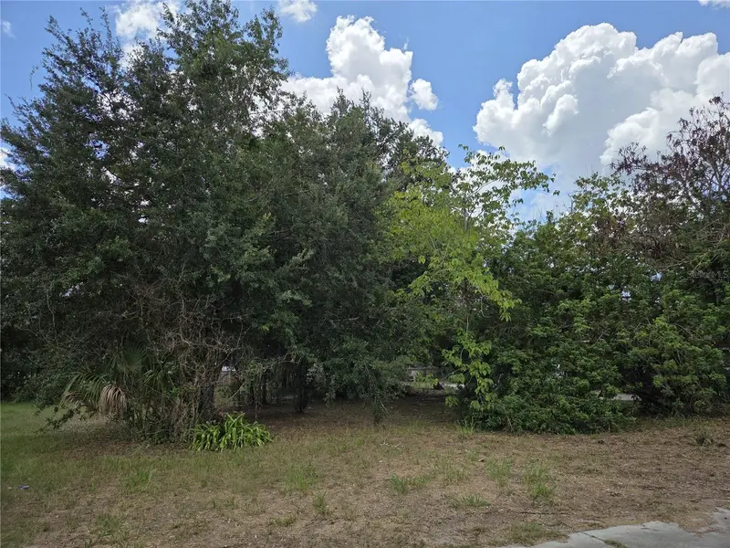 505 S Lanier Ave, FL