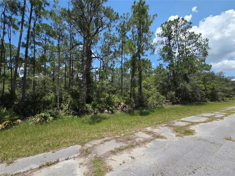 0 Allamanda Dr, FL