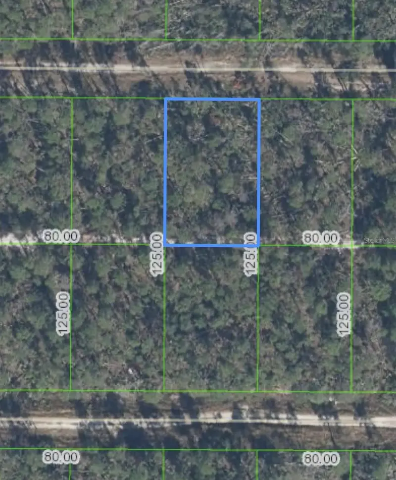 455 Nightingale Ave, FL