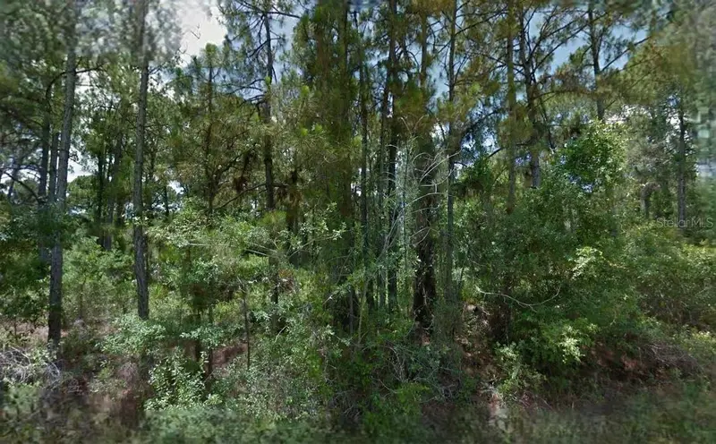 Boyd Ave, FL