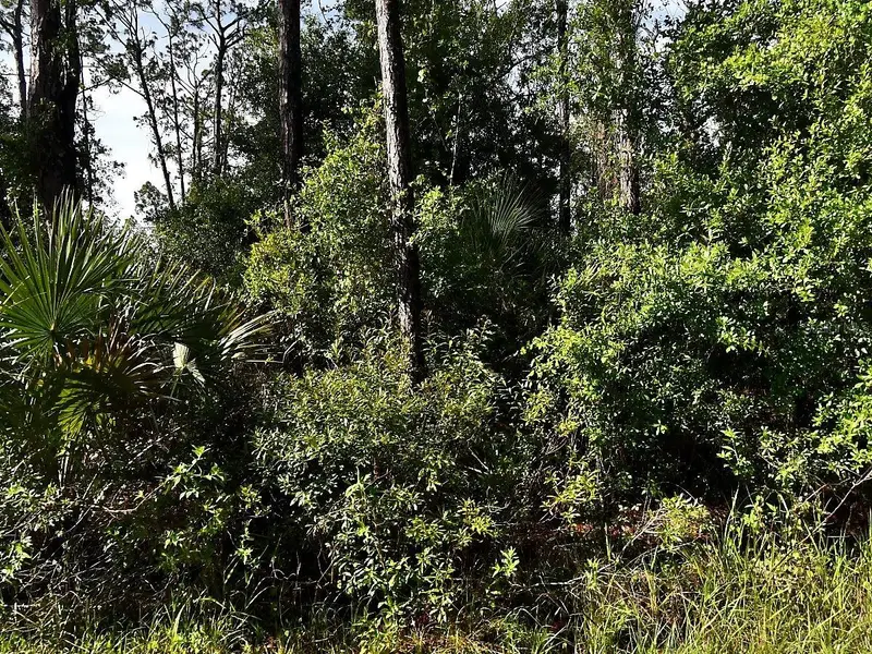 Boyd Ave, FL