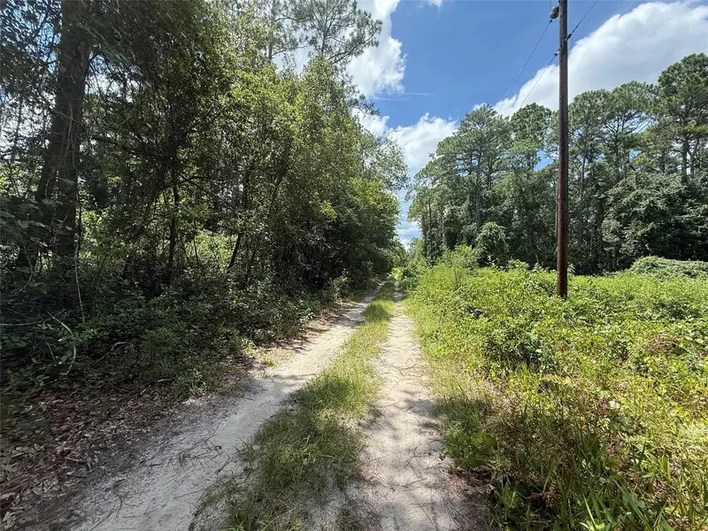 313 Calhoun Ave, FL