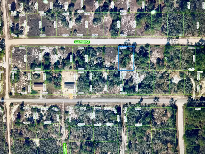 329 Blue Moon Ave, FL