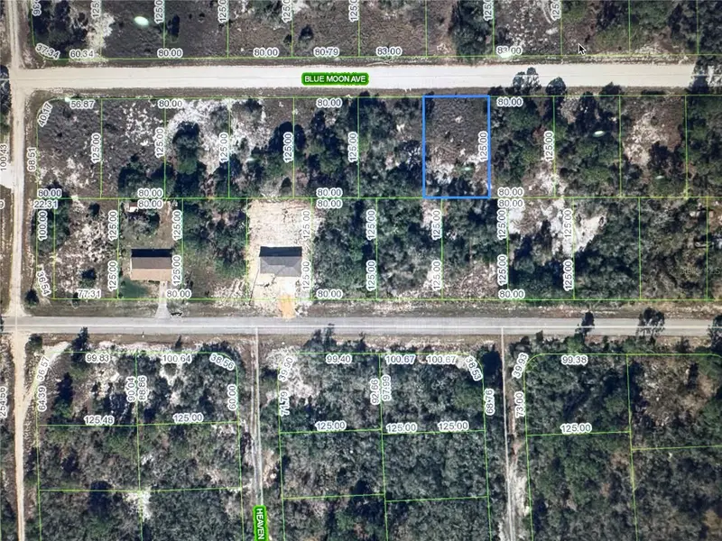 325 Blue Moon Ave, FL
